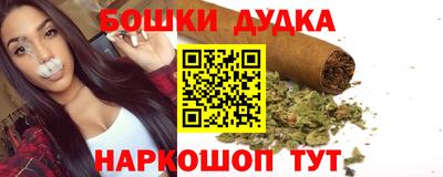 индика Гусев