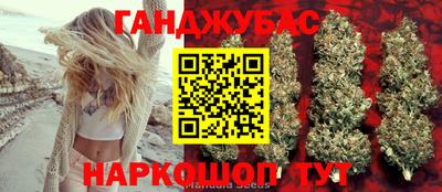 индика Гусев