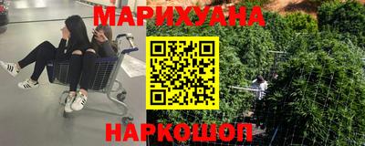 индика Гусев