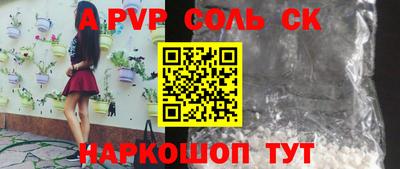индика Гусев