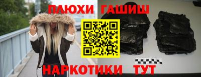 индика Гусев