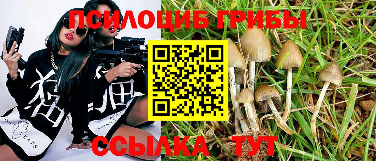 Псилоцибиновые грибы GOLDEN TEACHER  Вход с VPN  Трёхгорный 